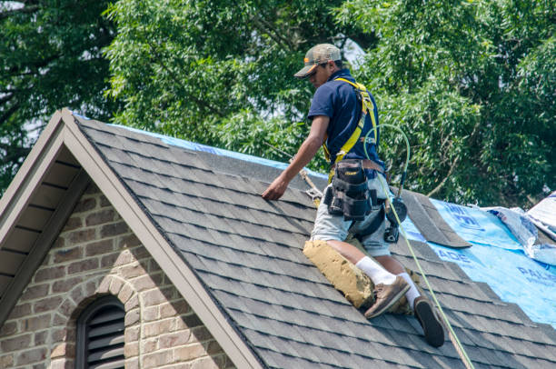 Best Roof Gutter Cleaning  in Ashland, OR